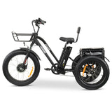 GOBIKE FORTE Electric Tricycle