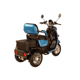 Pushpak 1000 2-Person Electric Trike Mobility Scooter