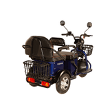 Pushpak 2000 2-Person Electric Trike Mobility Scooter